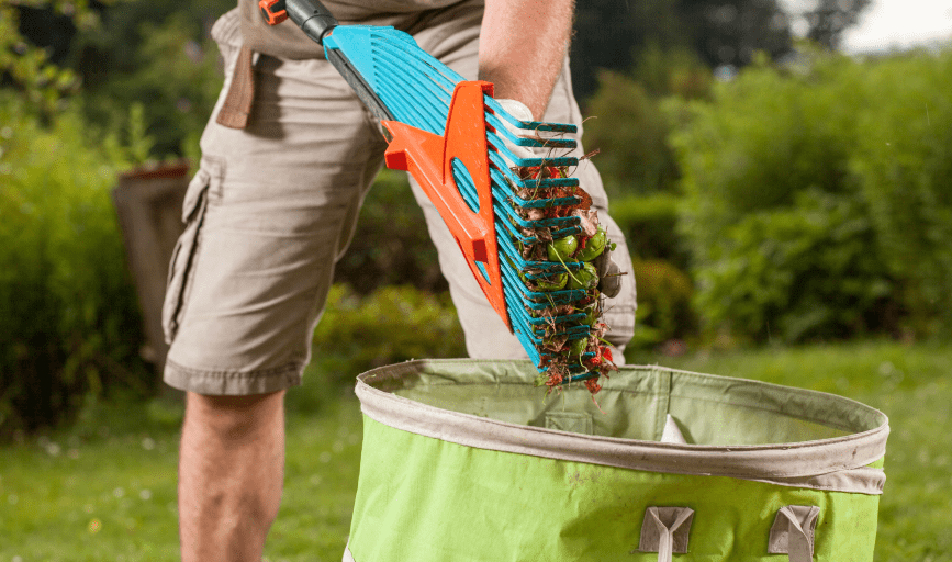 YARD CLEANING